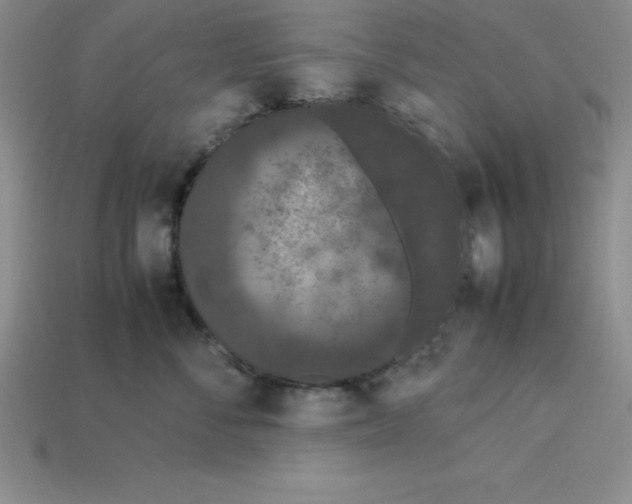 X0000112850716200910021251