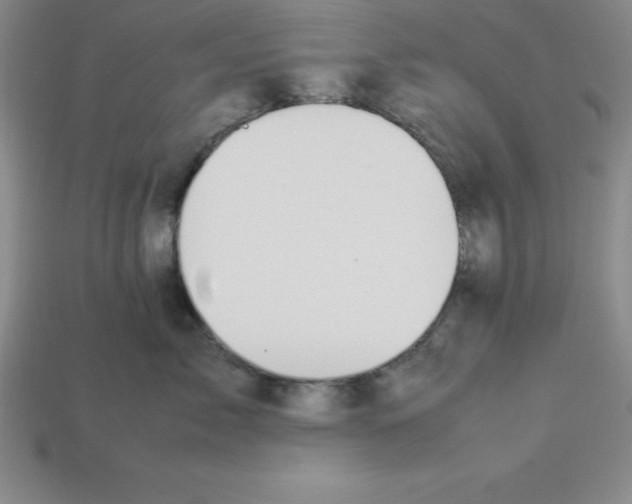 X0000112850717200910021251