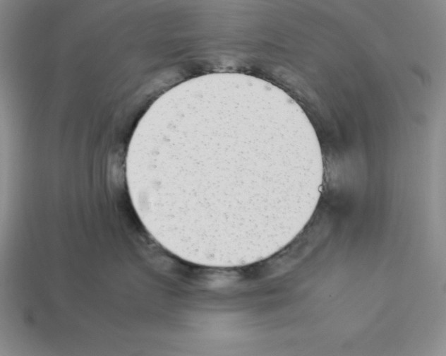 X0000112850719200910021251