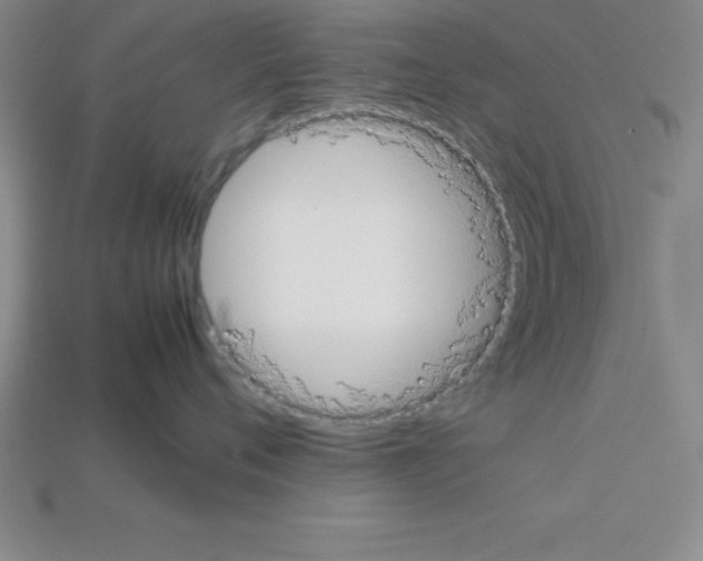 X0000112850720200910021251