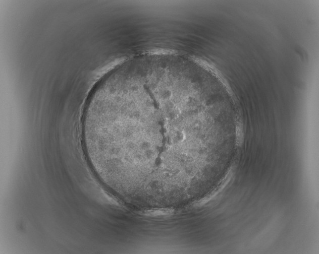 X0000112850721200910021250