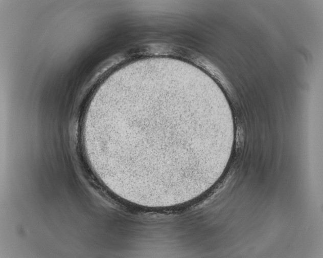 X0000112850722200910021250