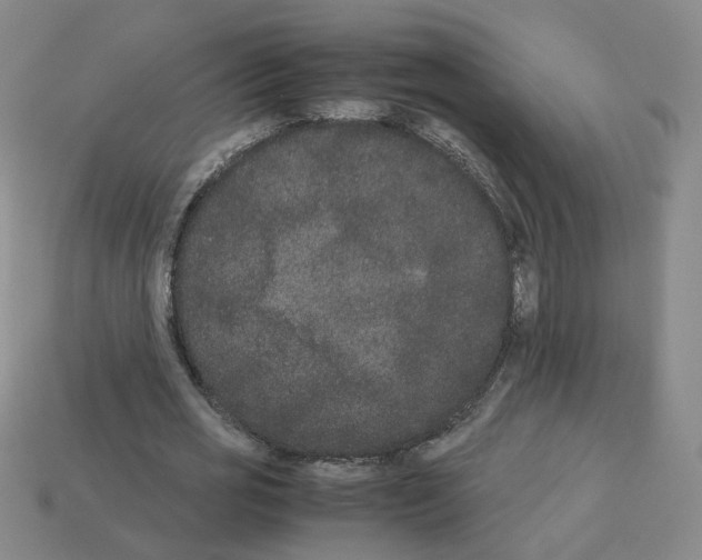 X0000112850725200910021251