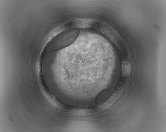 X0000112850726200910021251