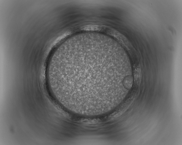 X0000112850727200910021251