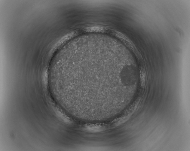 X0000112850729200910021251