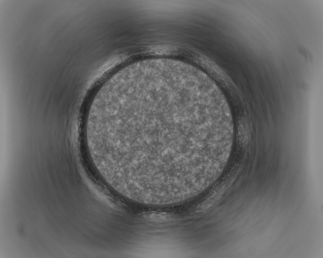 X0000112850730200910021251