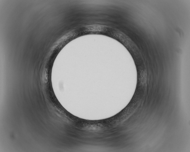 X0000112850731200910021251