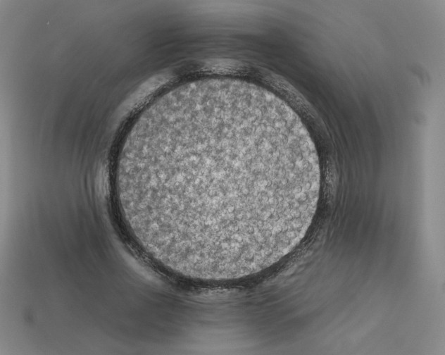 X0000112850734200910021251