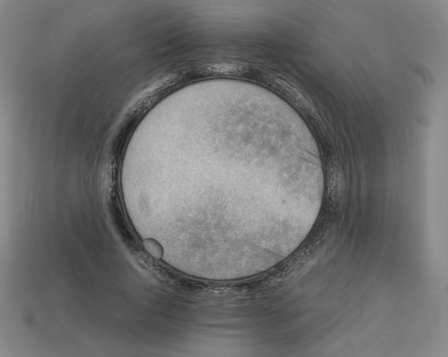 X0000112850736200910021251