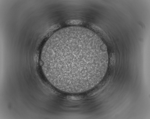 X0000112850739200910021251