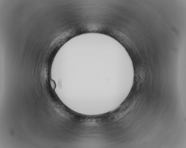 X0000112850740200910021251