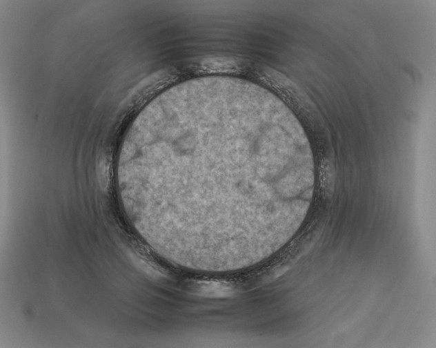 X0000112850741200910021251