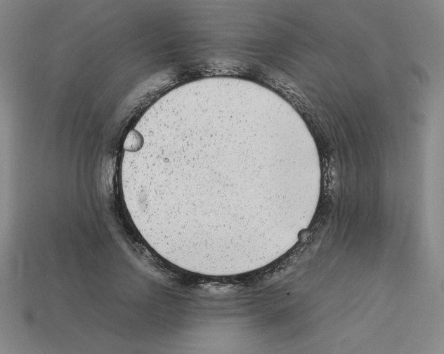 X0000112850742200910021251