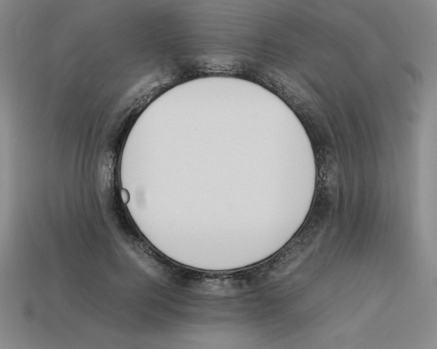 X0000112850744200910021251