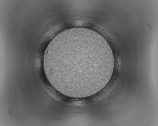 X0000112850746200910021251