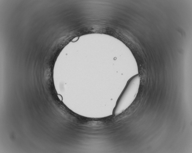 X0000112850748200910021251