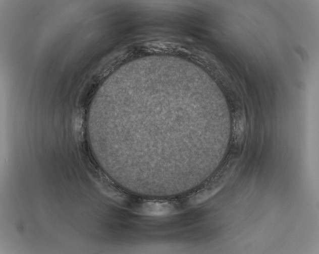 X0000112850749200910021251