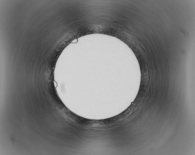 X0000112850750200910021251