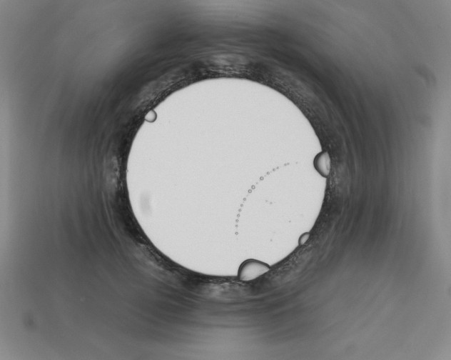 X0000112850752200910021251