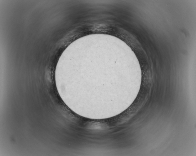 X0000112850755200910021251