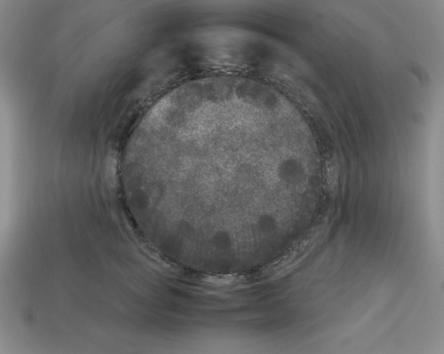 X0000112850757200910021251