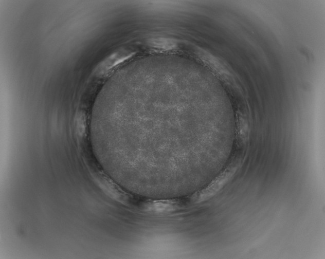 X0000112850758200910021251