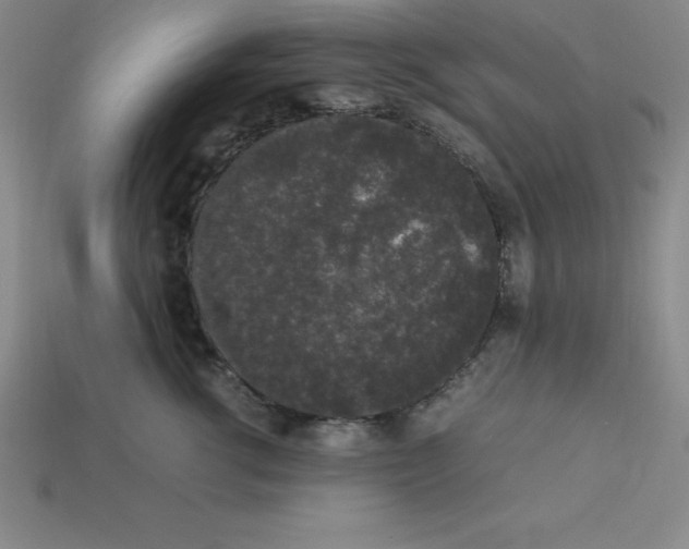 X0000112850762200910021251