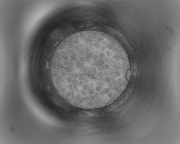 X0000112850763200910021251