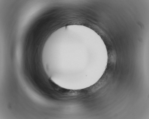 X0000112850764200910021251