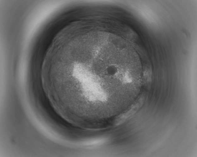 X0000112850765200910021251