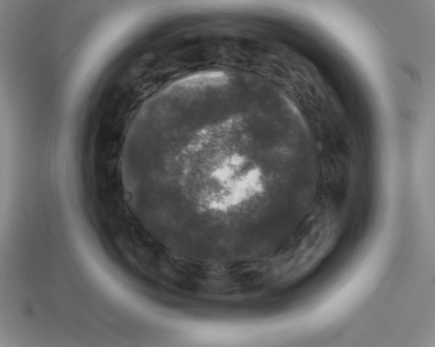 X0000112850766200910021251