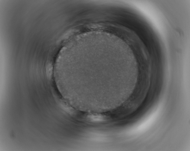 X0000112850767200910021251