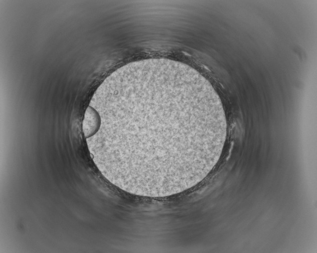 X0000112850772200910021250