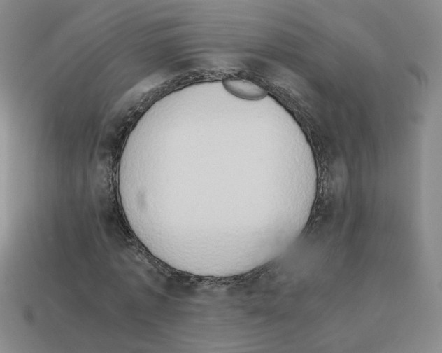 X0000112850773200910021250