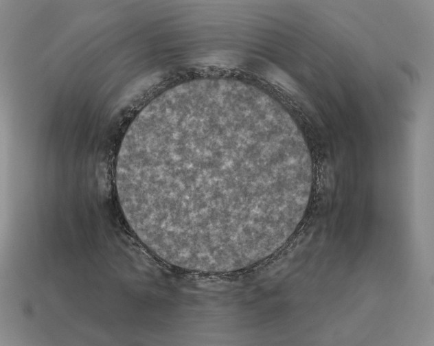 X0000112850774200910021250