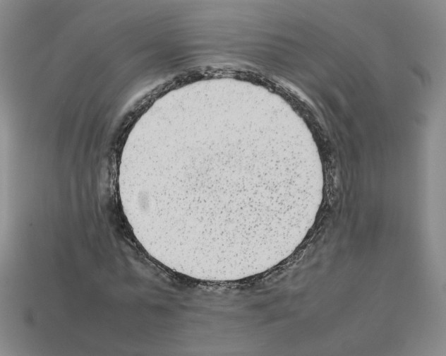 X0000112850775200910021250