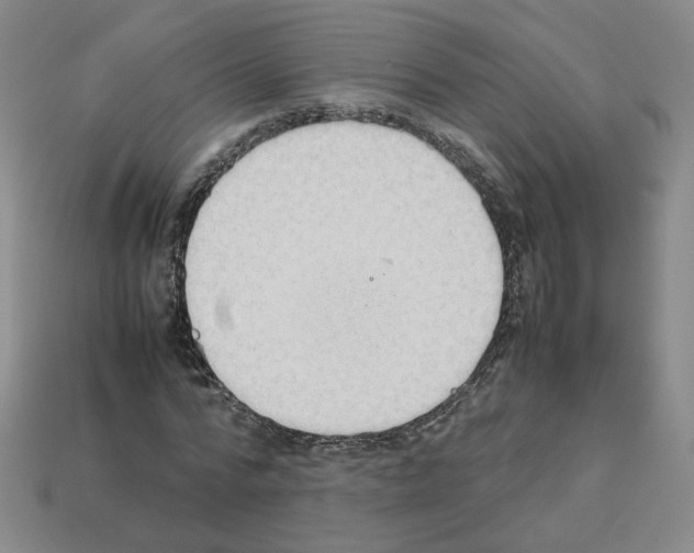 X0000112850776200910021250