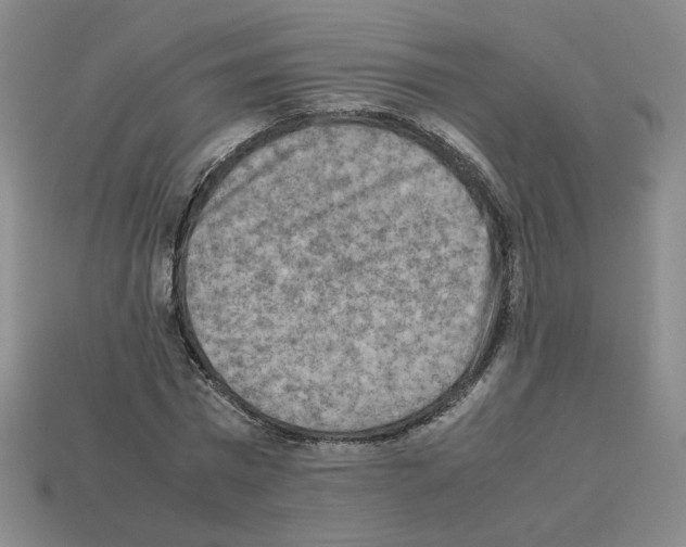 X0000112850777200910021250