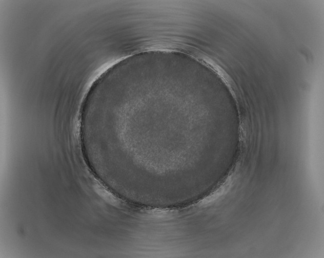 X0000112850779200910021250