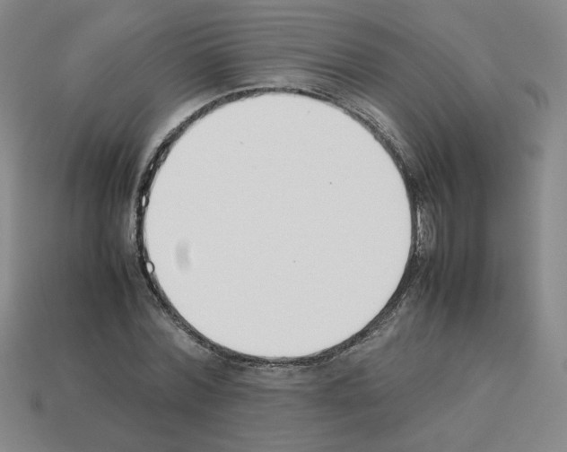 X0000112850780200910021250