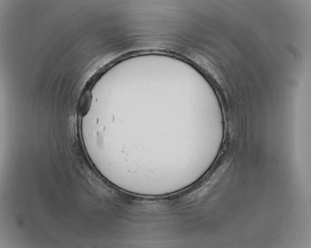 X0000112850781200910021250