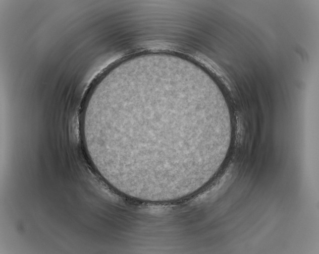 X0000112850782200910021250