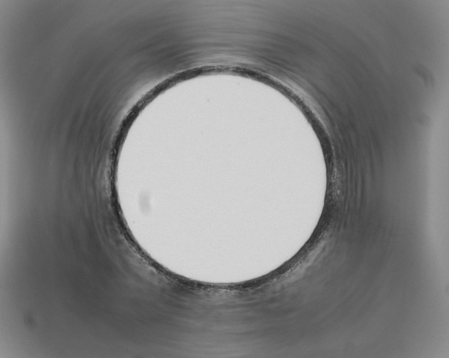 X0000112850783200910021250