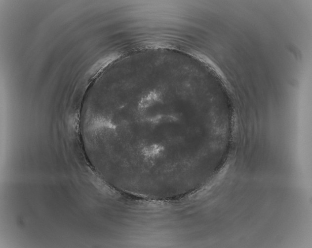 X0000112850785200910021250