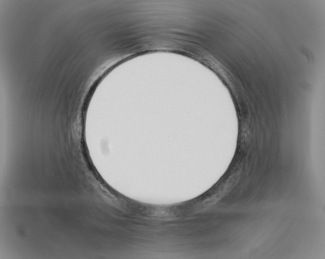 X0000112850787200910021250