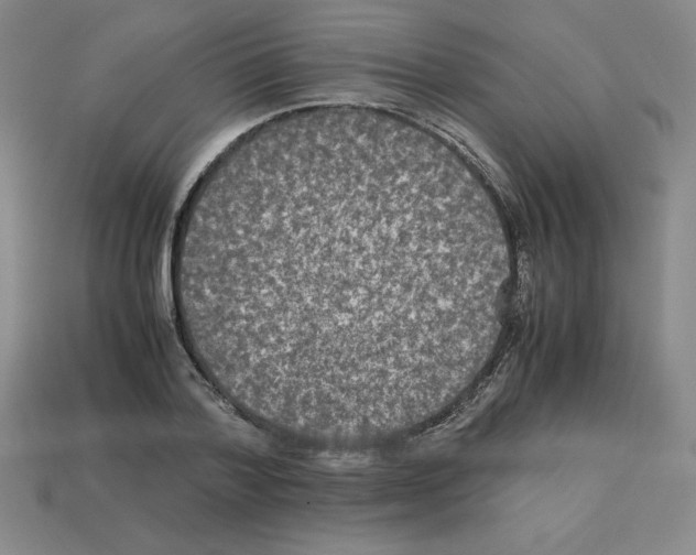 X0000112850788200910021250