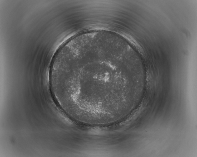 X0000112850790200910021250