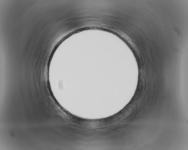 X0000112850791200910021250