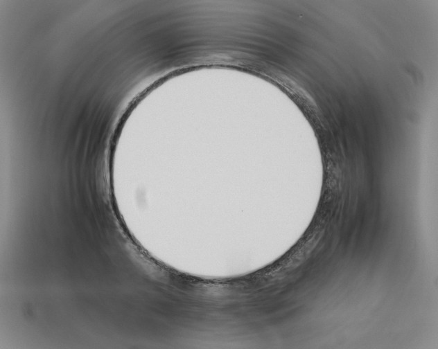 X0000112850792200910021250